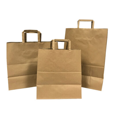 Paper Shopping Bags w/ Handles D Handles